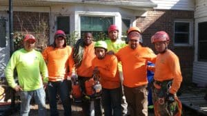 Tree Service Specialists in Atlanta GA Since 1986