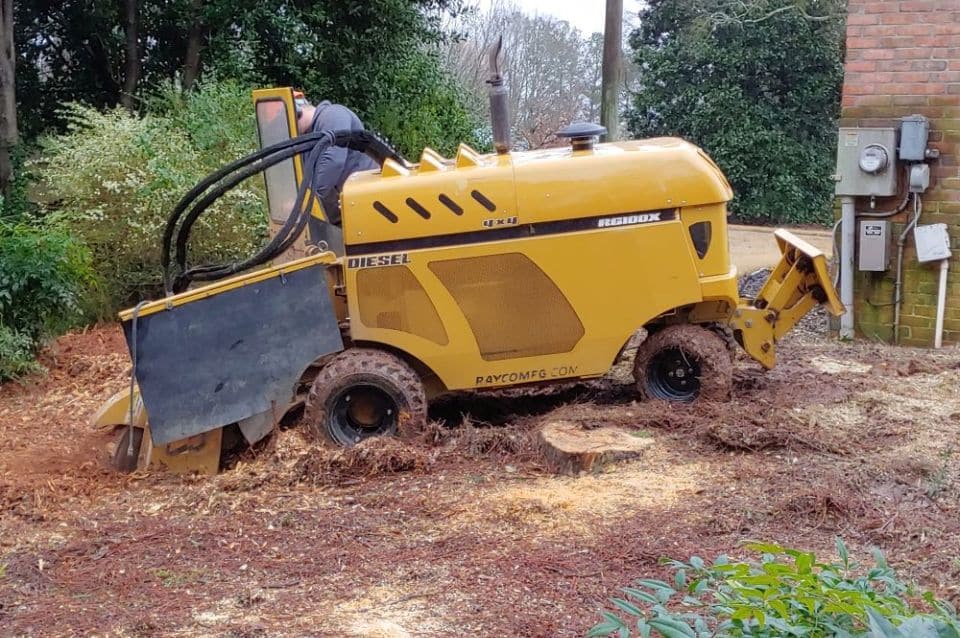 Professional Stump Grinding