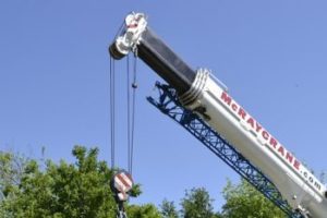 Crane Tree Services in Brookhaven GA