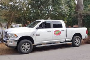 Arborist in Johns Creek GA