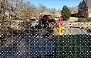 Fallen Tree, Emergency Tree, Removal-Insurance Claim Smyrna GA