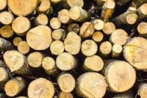 Tree Removal in Acworth GA, Tree Cutters Acworth