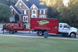 Tree Trimming Atlanta GA