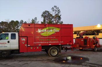 Tree Service in North Avondale Estates GA