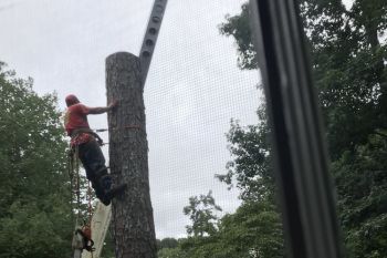 Tree Removal North Druid Hills / Tree Cutter Avondale Estates GA