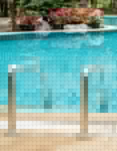 What are the worst trees to plant near a pool?